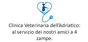 clinica veterinaria adriatico